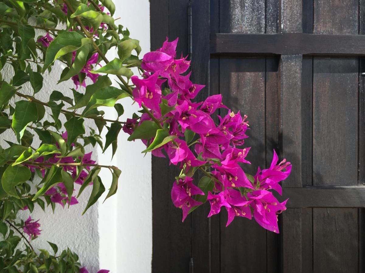 Villa De La Luz Luxury Guesthouse エル・ポルティル エクステリア 写真